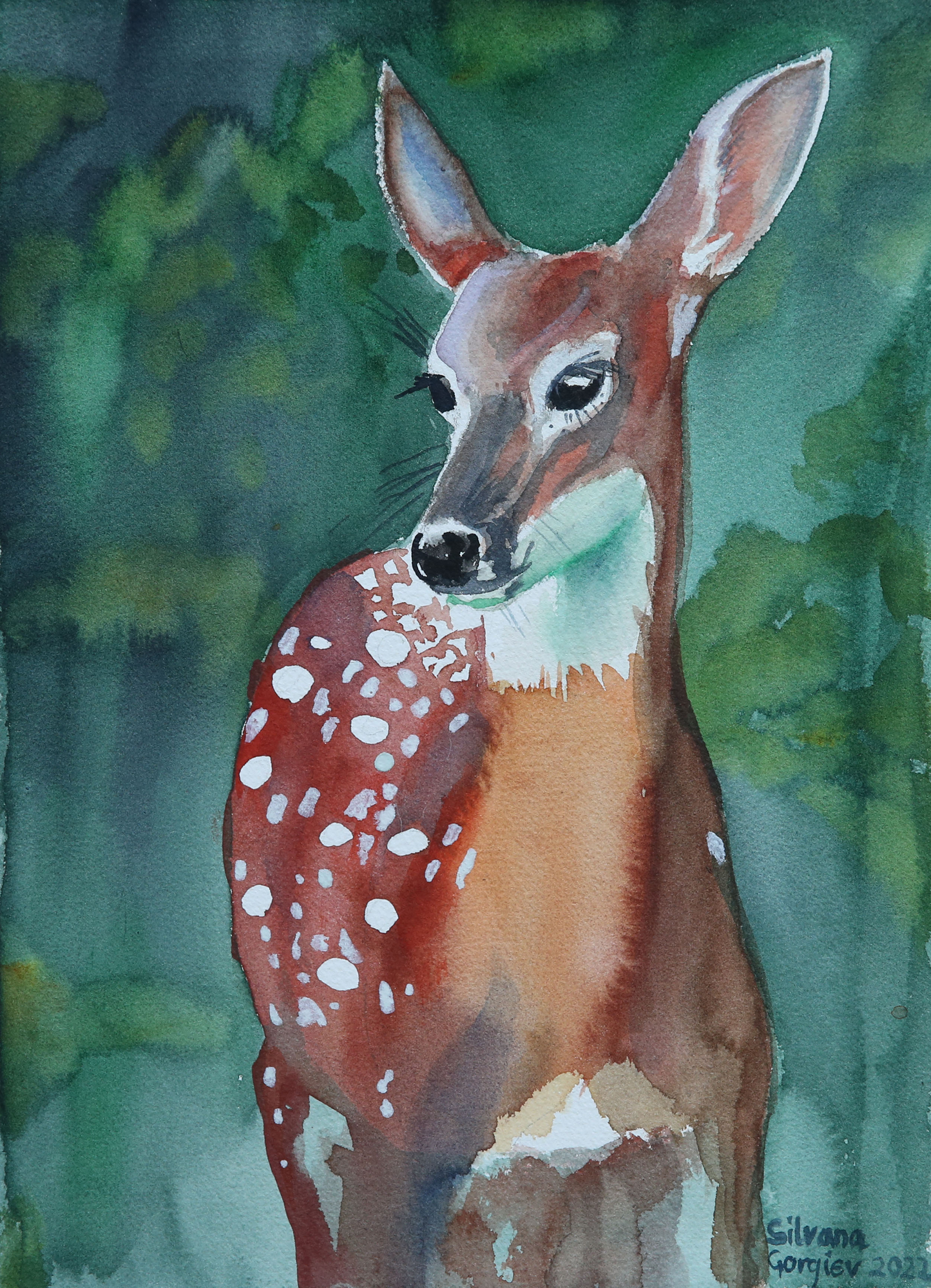 "Enchanted fawn" by Silvana Gorgiev
