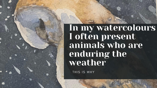 In my watercolours I often present animals who are enduring the weather. This is why.