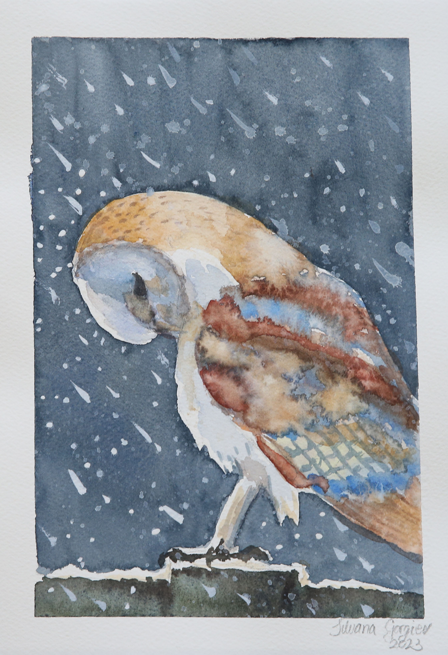 "Brave the storm" (Barn Owl) by Silvana Gorgiev