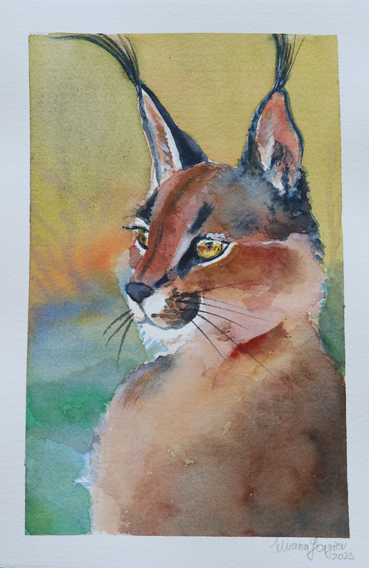 "Caracal cat" by Silvana Gorgiev