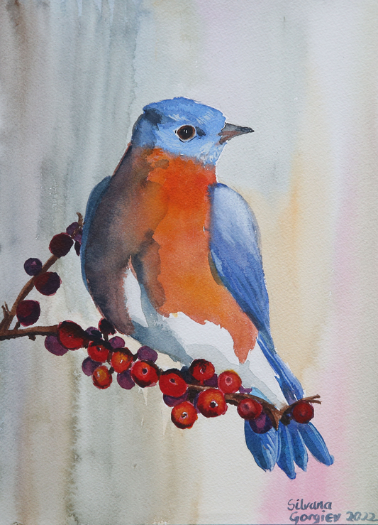 "Look at me Bluebird" by Silvana Gorgiev