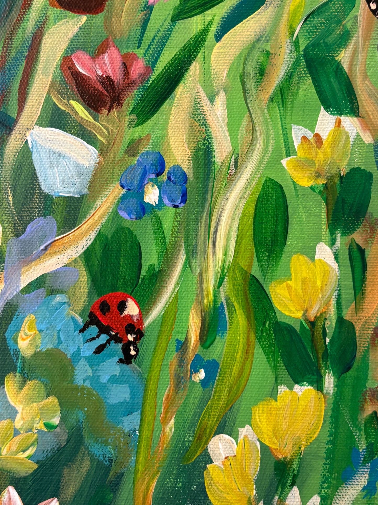 Where the Butterflies Go