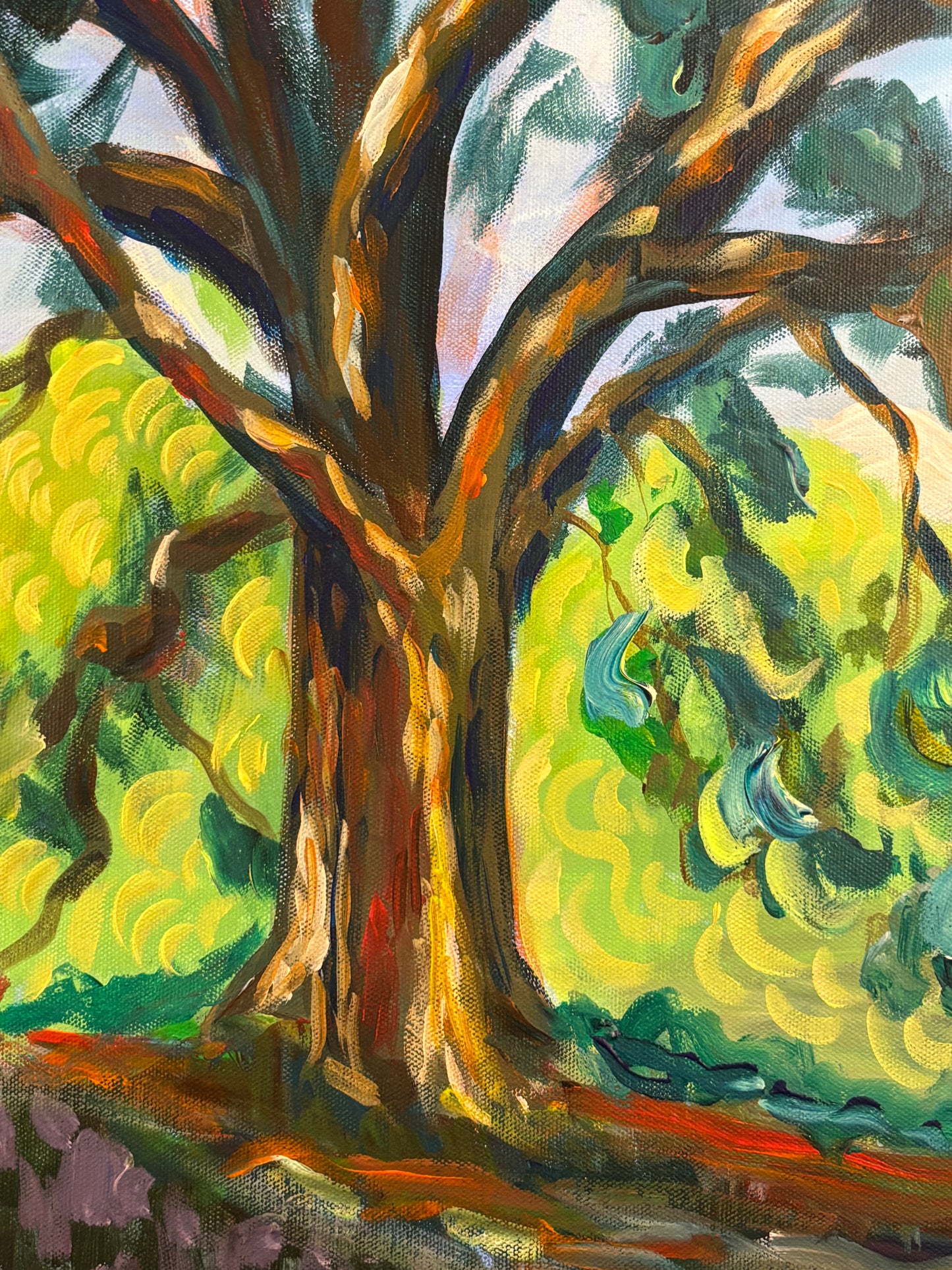 Lets Meet at the Big Tree