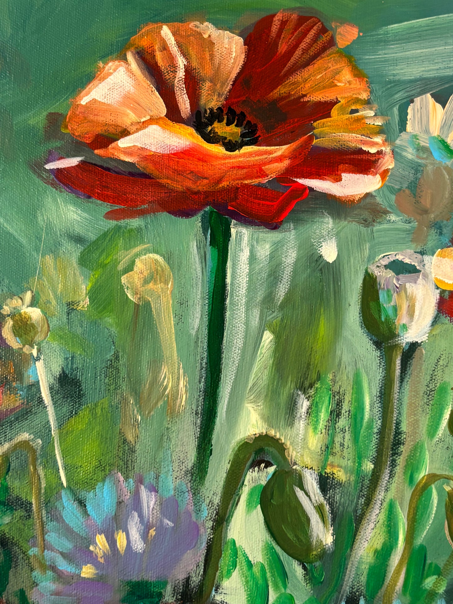 Poppies