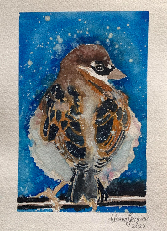 "Winter Sparrow"  by Silvana Gorgiev